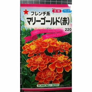 ３袋セット マリーゴールド フレンチ系 赤 種 郵便は送料無料