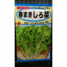 ３袋セット 春まき しろ菜 サントウサイ 山東菜 しろな 種 郵便は送料無料_画像1