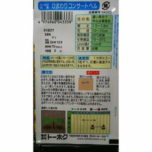 ３袋セット コンサートベル 房咲 ひまわり 向日葵 種 郵便は送料無料_画像2