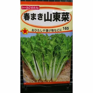 ３袋セット 春まき サントウサイ 山東菜 種 郵便は送料無料