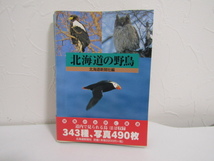 SU-19844 北海道の野鳥 北海道新聞社 本_画像1