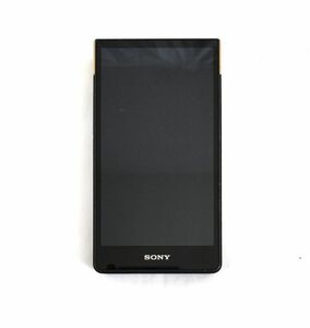 SONY WALKMAN NW-ZX707