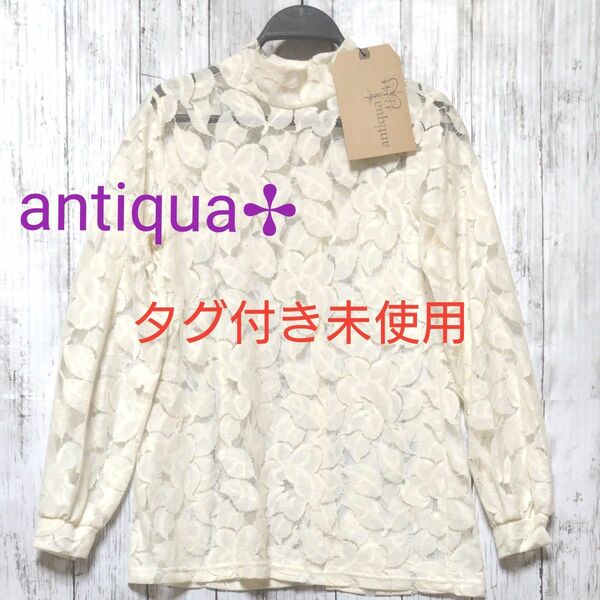 antiqua 大輪花柄　レースブラウス　◇タグ付き未使用◇