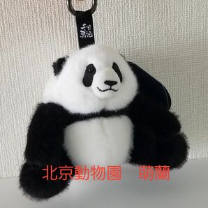 北京動物園のスターパンダ 萌蘭（モンラン）ぬいぐるみキーホルダー 新品 