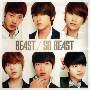 【送料無料】BEAST ビースト 韓国製 ハンカチ タオル A