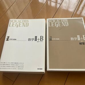NEW ACTION LEGEND数学2+B? 思考と戦略 数列ベクトル