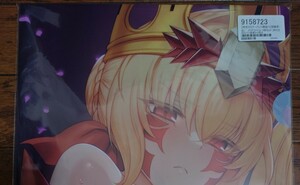 Yo женщина. лес fate/grand order сервер nto средний .(.. показатель - низкий ) прозрачный файл 7 шт. комплект M.S...