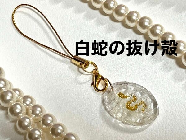 387番　楕円形　蛇パーツ付き　白蛇の抜け殻　キーホルダー　チャーム　ハンドメイド