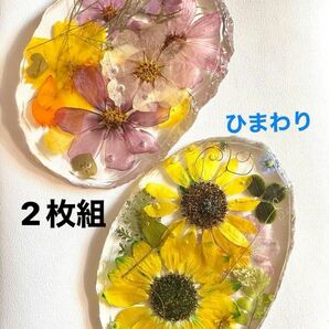 334番　ひまわり　コスモス　コースター　レジン　ハンドメイド　キートレー　台座　夏花レジン　秋桜　向日葵　スナップえんどう