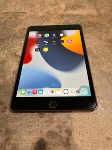 43238 iPad mini5 64GB グレー　SIMフリー　中古品　※本体のみ