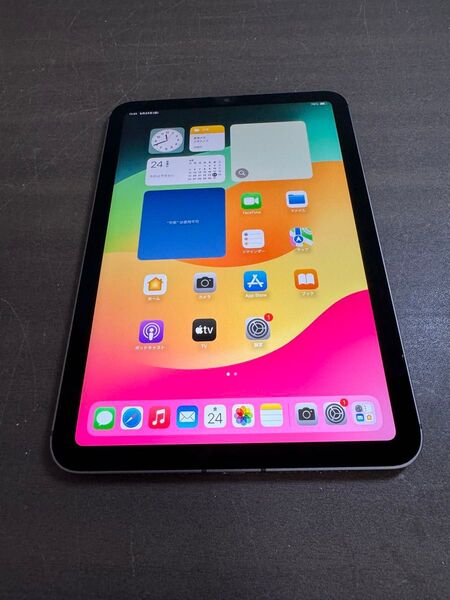 20986 iPad mini6 256GB グレー SIMフリー 中古 ※本体のみ
