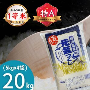 元気つくし20kg(5kg×4) 特A 1等米 令和5年 福岡県産 白米 美味しい お米 安い プレミアム米 検査米