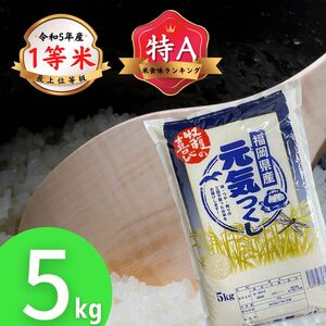 元気つくし5kg 特A 1等米 令和5年 福岡県産 白米 美味しい お米 安い プレミアム米 検査米