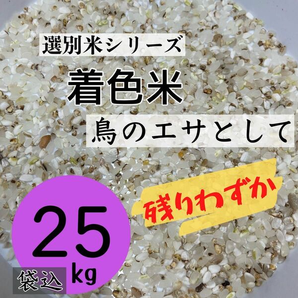 《リピーター多数》着色米 くず米 25kg 米・雑穀 鳥の餌 飼料 お得 安い おすすめ 色彩選別