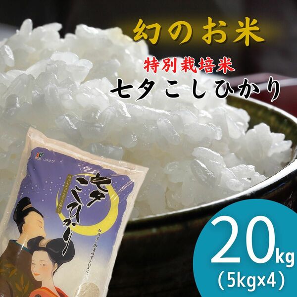 七夕こしひかり20kg(5kg×4) おまけ付き 令和5年 佐賀県（白石産）特別栽培米 数量限定 減農薬米 プレミアム米 幻の米 