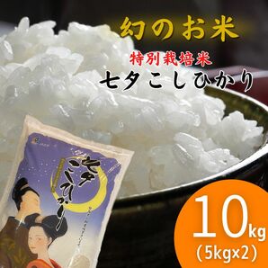 七夕こしひかり10kg(5kg×2) おまけ付き 令和5年 佐賀県（白石産）特別栽培米 数量限定 減農薬米 プレミアム米 幻の米 