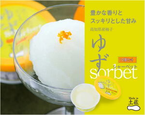  yuzu sherbet 12 piece set Kochi ice free shipping 