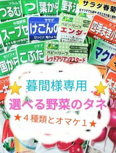 ◆暮間様専用◆４種類とオマケ１種類付★