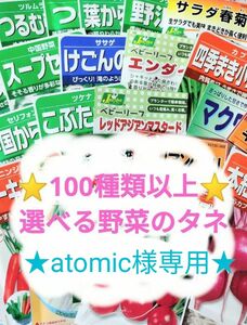 ★atomic様専用★４種類とオマケ2種類付★