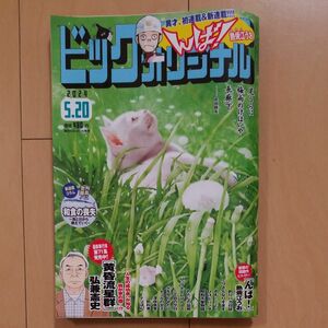 ビッグコミックオリジナル ２０２４年５月２０日号 （小学館）