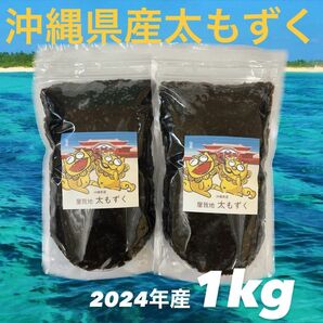 2024年産漁師直送！沖縄県産屋我地の太くて長〜い塩蔵もずく1kg(500g×2パック) 送料無料☆沖縄料理☆沖縄特産品