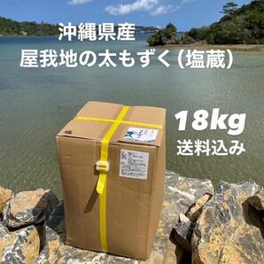 漁師直送♪沖縄県産♪太くて長～い塩蔵もずく☆屋我地の太もずく(18kg)☆送料無料☆業務用お買い得品☆