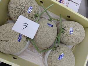 ! free shipping 3 greenhouse mask melon Kochi production 5 sphere entering approximately 9.5kg