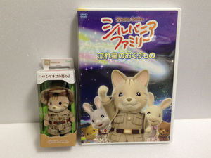 懸賞当選品 シルバニアファミリー シマネコの男の子 流れ星のおくりもの 人形 ドール Sylvanian Families 非売品 おまけDVD 送料無料