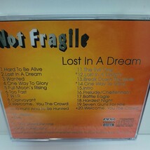 NOT FRAGILE「LOST IN A DREAM」_画像2