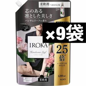 フレアフレグランス　イロカ　IROKA 柔軟剤　ハンサムリーフ　1200ml