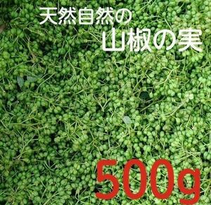 山椒の実500g☆兵庫県丹波市の山で取れた 天然自然の山椒の実
