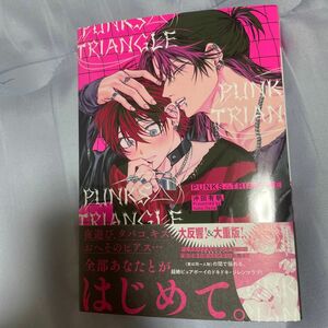 PUNKS△TRIANGLE 沖田有帆 BL 漫画