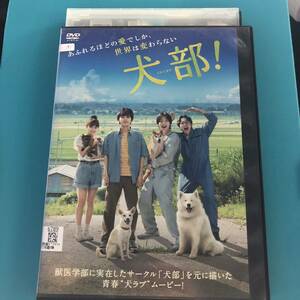 犬部　DVD