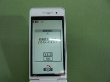 590◆中古美品◆ドコモ　docomo Panasonic　携帯電話　P-01H　本体◆動作通電OK◆製造番号：351772075066315◆ロ3_画像3