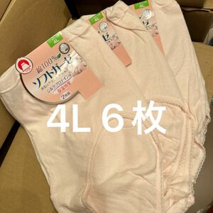 ソフトガーゼ ショーツ パンツ 肌着 シルクプロテイン加工 4L 6枚