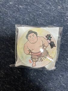 新品 宇良 マグネット 美品 レア 未開封 未使用 木瀬部屋 両国国技館 限定 大相撲 力士 