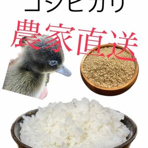 あいがも米 20kg(玄米重量)