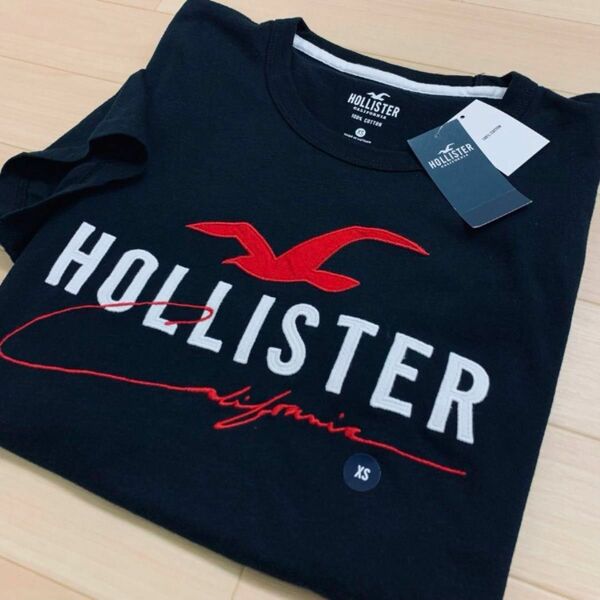 ★Hollister 大人気のクラシックロゴワッペンアップリケ刺繍半袖Tシャツ