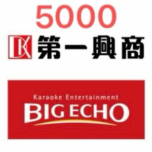 第一興商　ビックエコー　カラオケ　5000円分