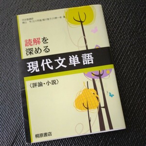 ★読解を深める　現代文単語★桐原出版★河合塾★評論小説★自宅保管品　同梱可