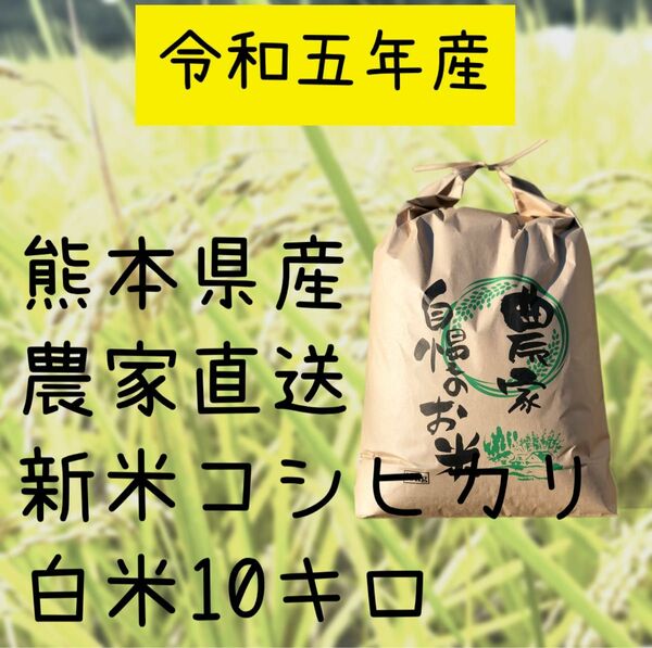 農家直送　令和5年産　コシヒカリ　白米10キロ　熊本県　残り僅か