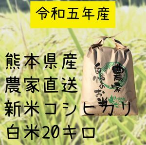 農家直送　令和5年産　新米コシヒカリ　白米20キロ　熊本県