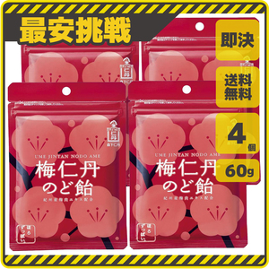 梅仁丹 のど飴 60g×4袋 森下仁丹 ビタミンC お菓子 喉飴 梅肉エキス 飴 駄菓子 あめ 梅 エキス アメ 仁丹 キャンディ 喉ケア 飴玉 f038