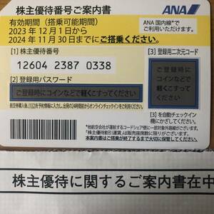 有効期限：2024年11月30日　ANA株主優待　1枚