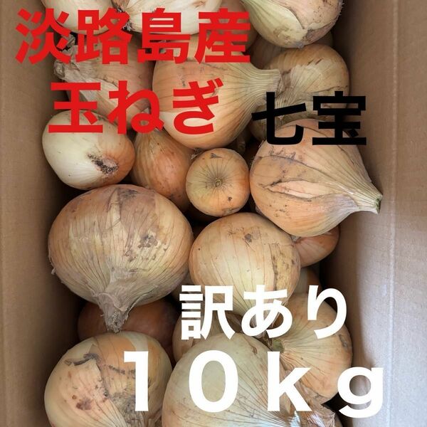 淡路産新玉ねぎ七宝訳あり１０ｋｇ◎