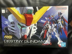 RG DESTINY デスティニーガンダム 機動戦士ガンダムSEED バンダイ ガンプラ ZGMF-X42S 