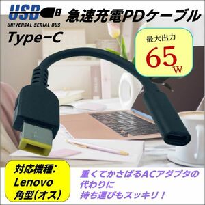 レノボ Lenovo 専用PD変換ケーブル TypeC(メス) → 角型コネクタ(オス) ACアダプタを使わないでノートパソコンを急速充電 UCLE015