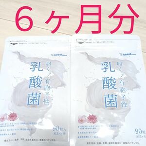 シードコムス 有胞子性 乳酸菌 ６ヶ月分