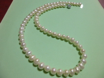 ★本真珠のネックレス　未使用品★_画像1