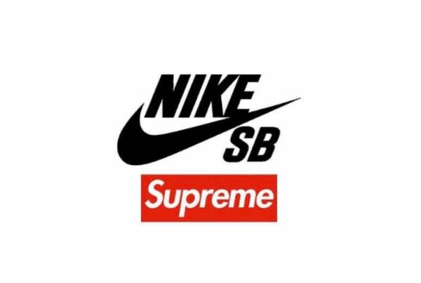 新品 未使用 Supreme NIKE SB DARWIN LOW US9.5 27.5cm 黒 BLACK 24SS